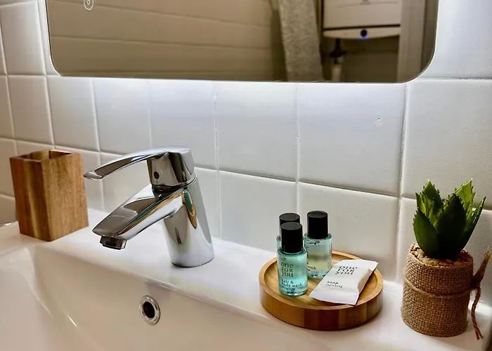 Pic Du Jer - 1 - 15 Min Sanctuaire Apartman Lourdes