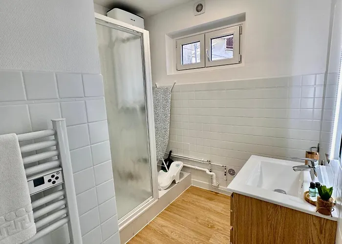 Pic Du Jer - 1 - 15 Min Sanctuaire Apartman Lourdes